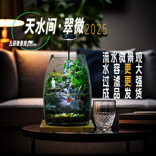 丘辰苔藓微景观养鱼生态瓶办公桌面摆件客厅造景小盆栽生日礼物