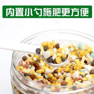 极速 栀子花营养液酸性肥料A硫酸亚铁改善土壤栀子专用肥栀子 包邮