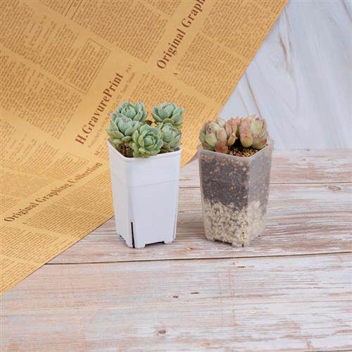 极速方形a万象盆特小号5cm侧钻孔小白方多肉花盆塑料迷你加厚高拇