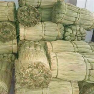 极速端午粽绳马莲草咸q水草天然清香粽子绳包粽子草绳捆大闸蟹草