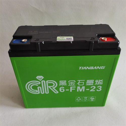 厂家供应振盟黑金石墨烯天邦电动两轮用蓄电池48V60V72V-23AH