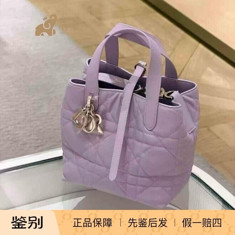 Dior迪奥Toujours水桶包牛皮