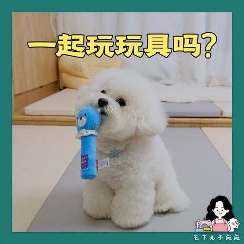 速发【在下肉丸声】Gi耐wi玩具 发子玩具 磨牙训练G咬