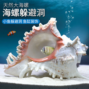速发海螺贝壳鱼缸水族箱壳景装饰大小号造贝摆件鱼虾躲避屋繁殖窝
