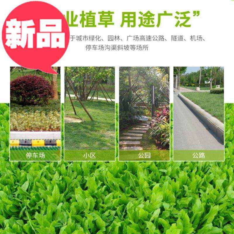 速发护坡公园园绿道路林化草坪砖通用生态停车绿车道场化植草格