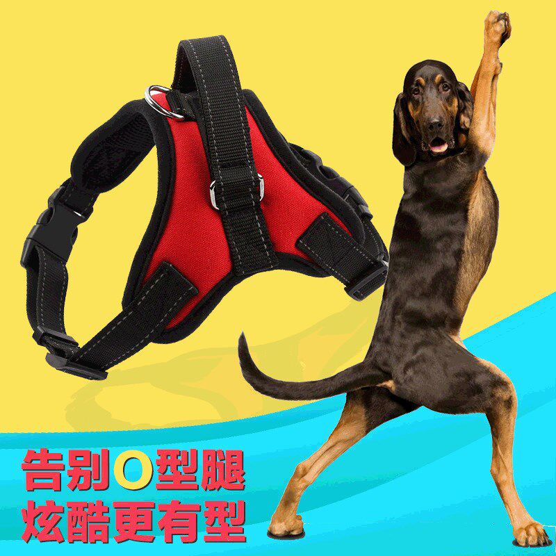 速发dium ad oge dog tractio r peoK chest strap dlg ch