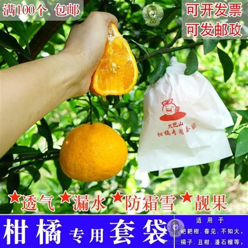 速发柑橘保护袋耙耙柑橙子网纸防虫套鸟爱媛脐橙防袋草莓水果套袋