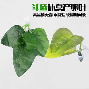速发水族斗鱼叶子造息叶产卵叶人休环保用品装饰水鱼草缸造景