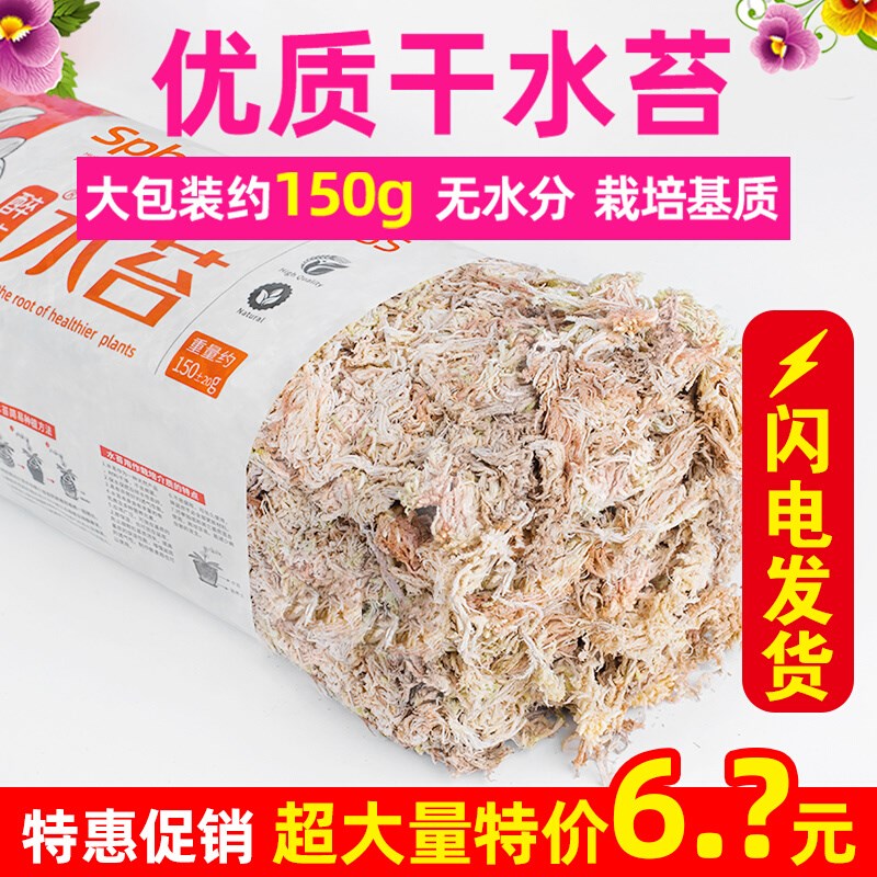 速发水苔无菌智营干水花蝴蝶兰苔专用利养土苔藓石斛食虫植物