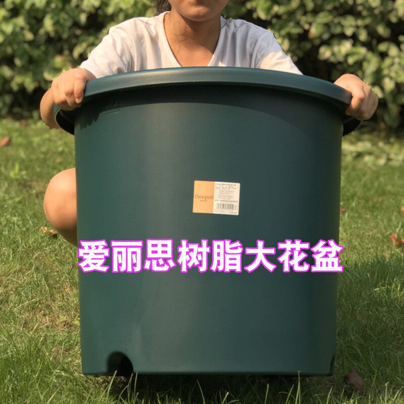 速发IRIS树脂花料花型大号加厚深盆种树种花大盆控跟透气塑盆盆