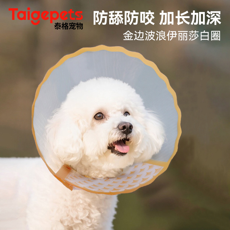 宠物伊丽莎白圈加大加深项圈