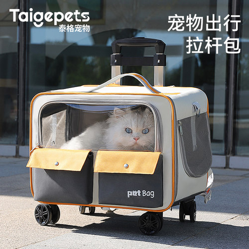 【一包四用】外出宠物猫包