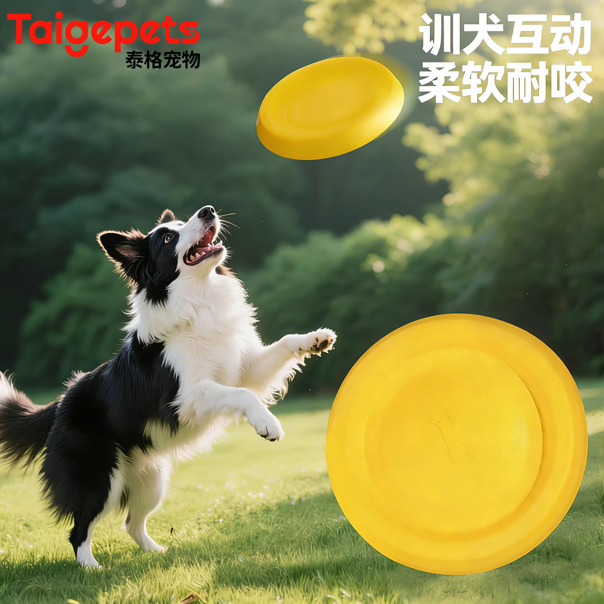狗狗玩具飞盘耐咬户外训练图片