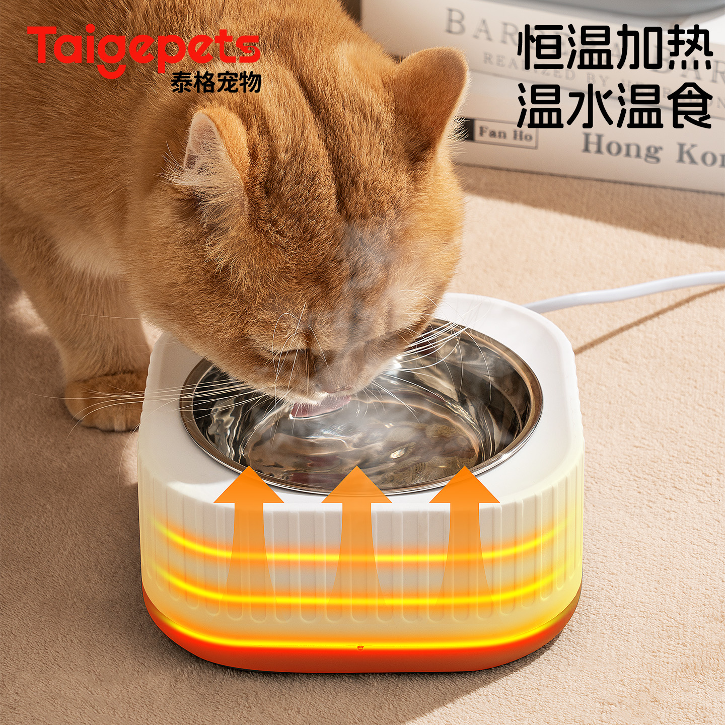 宠物恒温饮水机猫咪狗狗喝水