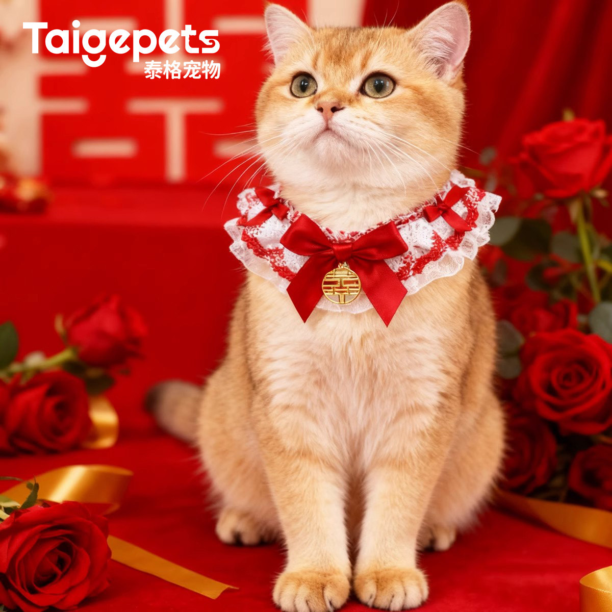 宠物陪嫁装饰猫咪围兜围领结婚喜庆项圈狗狗围脖红色宠物猫口水巾,宠物/宠物食品及用品,围巾/口水巾,淘宝优惠券,粉丝福利购,淘宝优惠卷