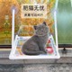 晒太阳神器 猫吊床猫爬架窗户猫窝宠物猫咪架子吸盘挂床玻璃悬挂式