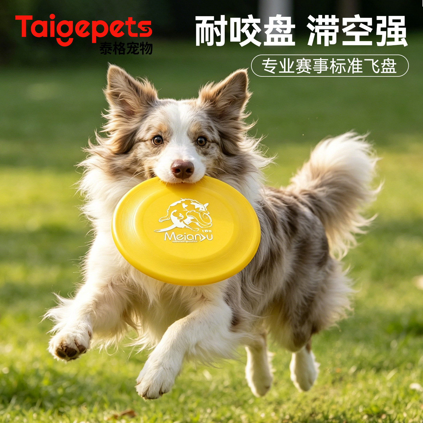 狗狗飞盘专业赛级标准耐咬消耗体力训练磨牙巡回边牧金毛解闷玩具