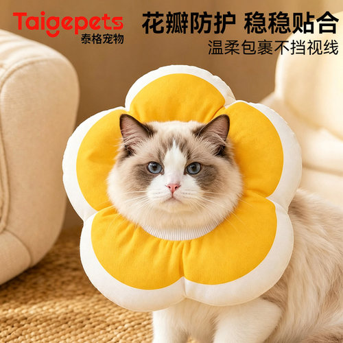 宠物伊丽莎白圈防舔绝育头套