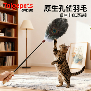 孔雀羽毛逗猫棒长杆猫咪消耗体力玩具动物原生气味丰容羽毛替换头