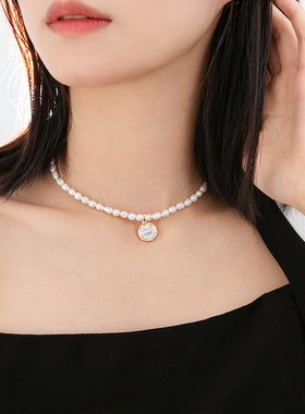 6.19新款小众设计感珍珠项链女锁骨链设计感小众轻奢高级感颈链