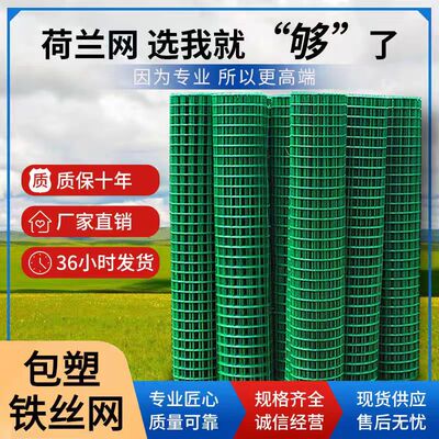 硬塑铁丝网围栏荷兰网护栏网隔离网果园户外养殖家鸭网防护钢丝网