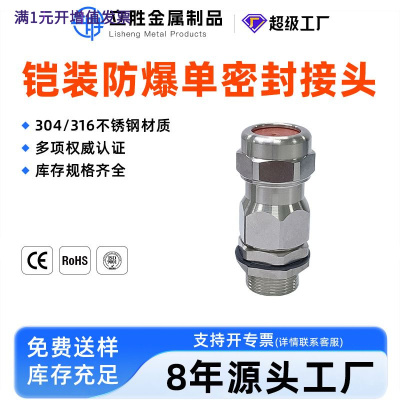 304不锈钢防爆铠装密封接头BDM船