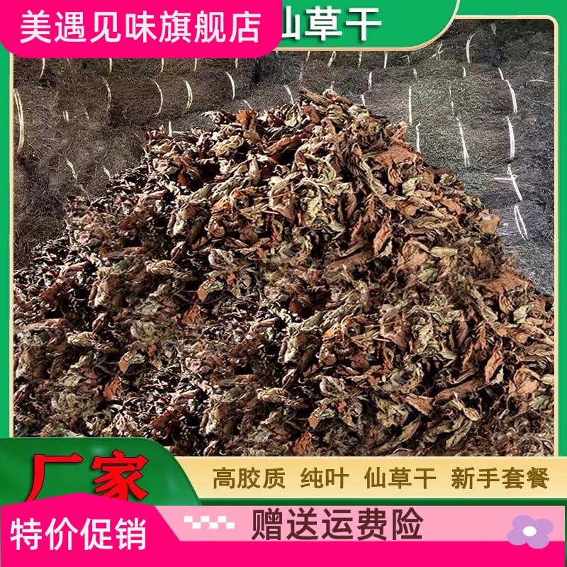 高胶质仙草全叶正宗仙人草黑凉粉草干烧仙草龟苓膏原料草粿草叶子