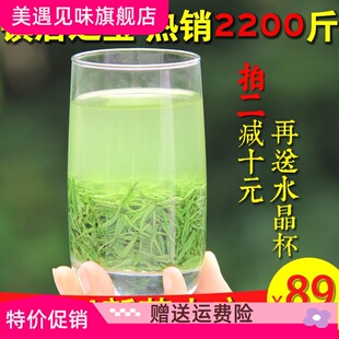 信阳毛尖2024新茶叶雨前春茶高山嫩芽浓香大山绿茶250g散装 茶