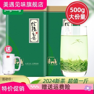 静香毛尖绿茶信阳毛尖2024新茶雨前高山嫩芽500g浓香耐泡型春茶叶