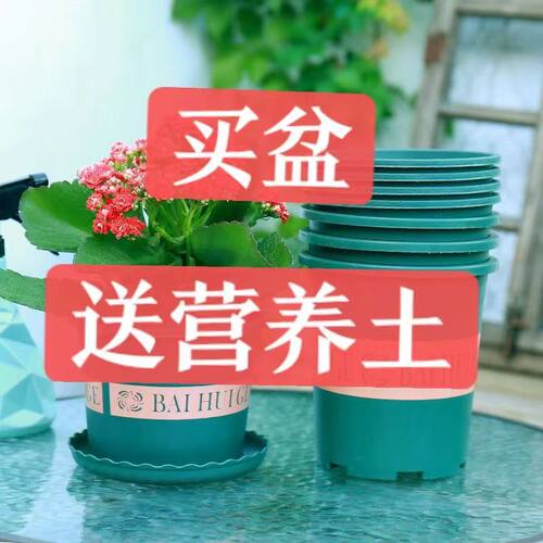 (买花盆送土送托盘)加仑盆塑料花盆花盆月季花盆阳台客厅专用花盆