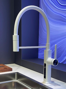 WINMV白色数显旋转厨房水槽洗菜盆万向水龙头冷热增压家用多功能