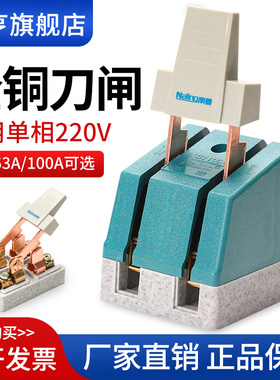 配电箱刀闸220V单投式闸刀2P63A100A全铜加厚32A家用电动车刀开关