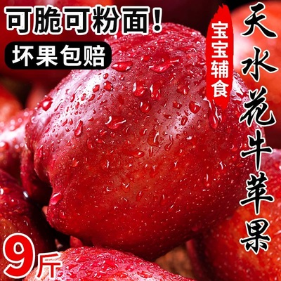 甘肃天水花牛苹果10斤新鲜当季水果整箱红蛇粉面平果脆甜红苹果5