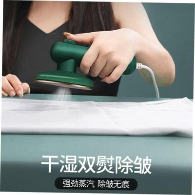 Handheld Steamer Portable Steam Electric iron 220V 1000W1