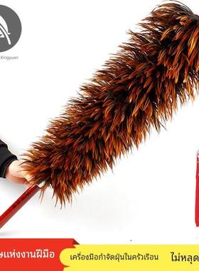 A real feather duster doesn't shed feathers真鸡毛掸子家