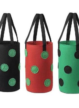Strawberry Grow Bags Planting Bag Plant Grow Hanging Bag