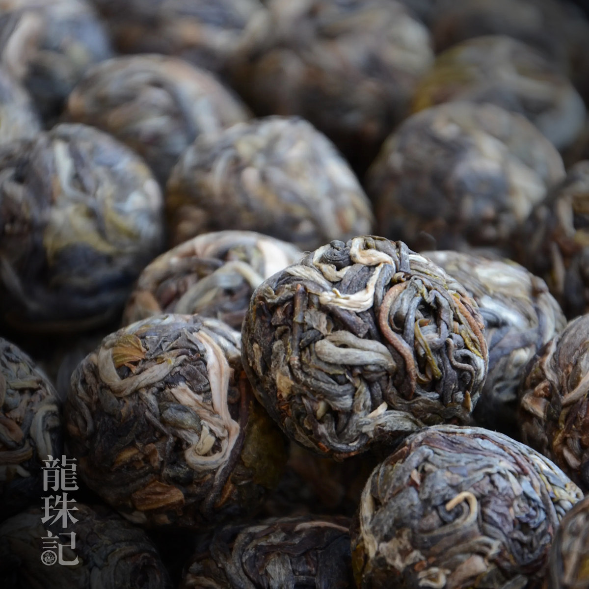 2026龙珠普洱茶生茶500克普洱