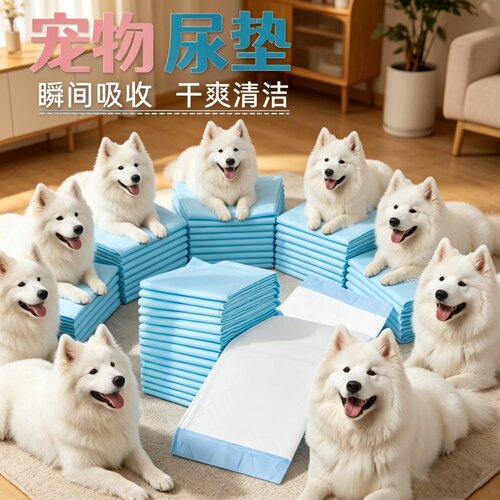 狗狗尿垫加厚除臭防漏大码宠物隔尿吸水垫兔子猫咪通用尿片一次性