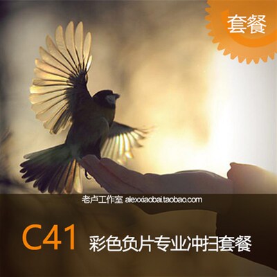 135/120 C41 彩色负片专业冲洗扫描套餐 胶片冲扫 胶卷冲扫