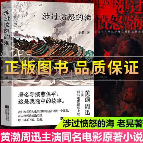 涉过愤怒的海小姐三部小说