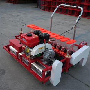 农用种菜育苗穴播机 操作方便自走式 汽油播种机 分座式 蔬菜精播机