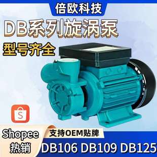 DB系列旋涡泵110V60Hz美规220V60Hz欧规外贸DB125自来水增压泵