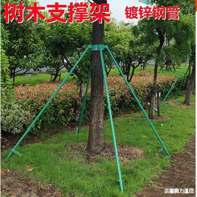 树木支撑固定器抱箍防风杆绿化镀锌钢管支撑架苗木支架乔木固定杆