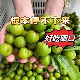 现货云南三月李大果李子新鲜水果当季酸脆三华珍珠李孕妇整箱