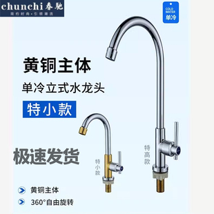 厨房水龙头铜体立式家用洗手龙头加长单冷菜盆旋转过滤4分龙头