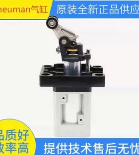 Pneuman阻挡气缸SN6043B-50X30-RAW DWG SN6045B-50-30-3LK-GR