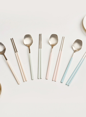 【韩国原单】韩式Cher食品级304不锈钢彩色磨砂手柄筷勺2件套ins