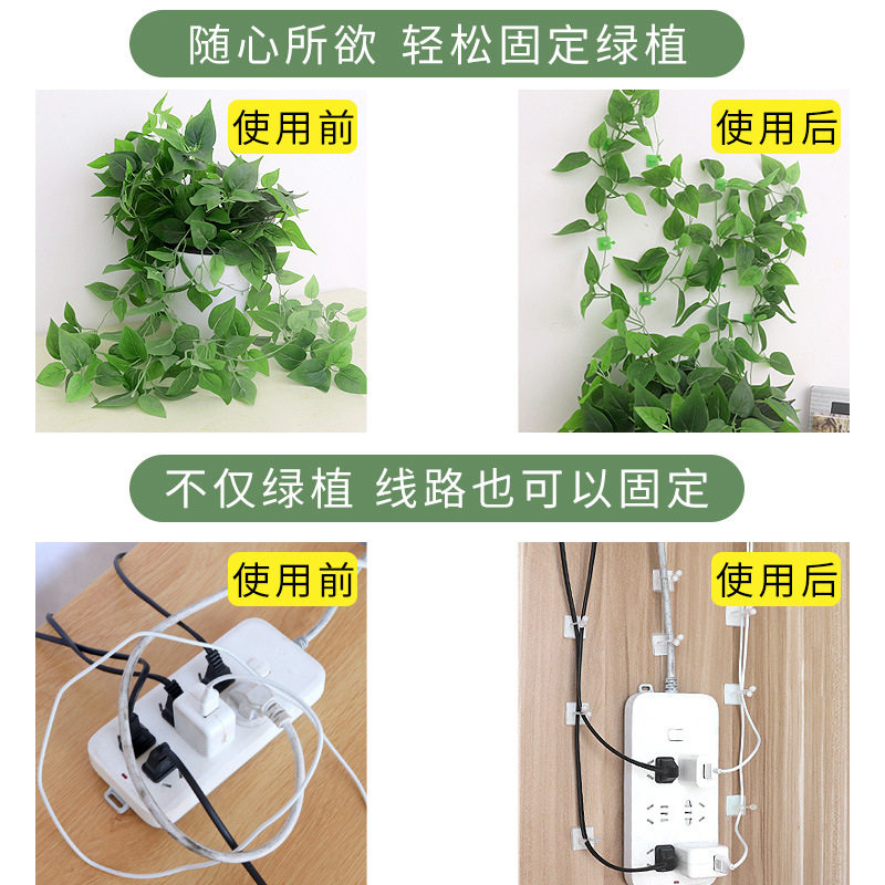 绿萝固定器A1zdq001-爬上室内客厅攀爬藤蔓植物爬藤挂钩卡扣园艺
