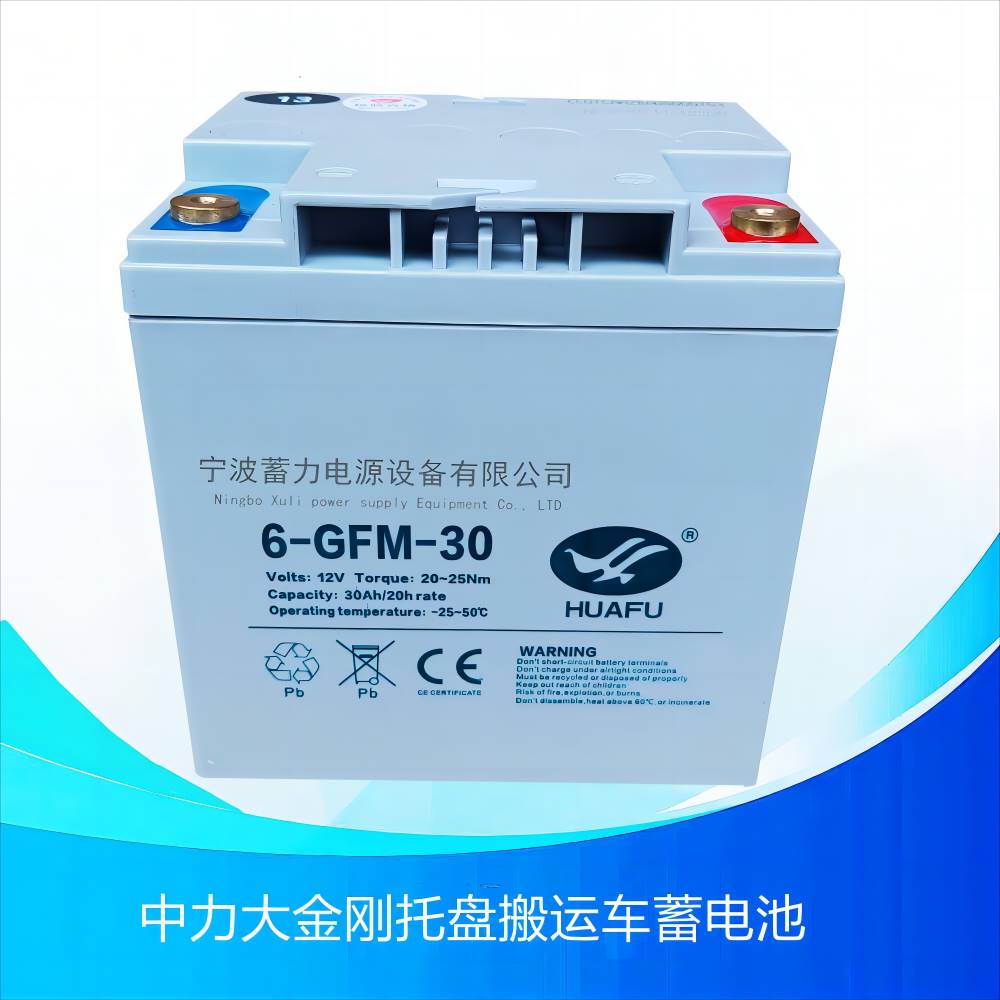 中力大金刚电动叉车6GFM30蓄电池EPT20ET托盘搬运车HUAFU华富电瓶