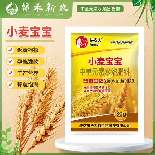 小麦宝宝叶面肥荞麦小麦种植穗大粒饱促分蘖促返青生根壮苗水溶肥